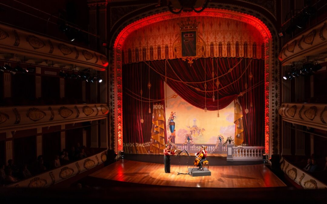 Lavorare in teatro come maschera: mansioni e consigli utili